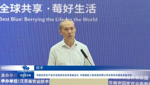 中國(guó)藍(lán)莓產(chǎn)業(yè)發(fā)展呈現(xiàn)六大態(tài)勢(shì) 社會(huì)經(jīng)濟(jì)咨詢(xún)視角