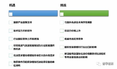 2021-2027年石油鉆采專用設(shè)備行業(yè)投資前景分析報(bào)告