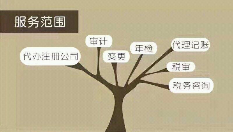 長(zhǎng)春代理記賬服務(wù)項(xiàng)目詳解 專業(yè)、高效、省心